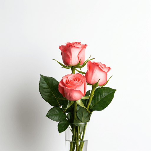 Premium Ecuadorian Roses
