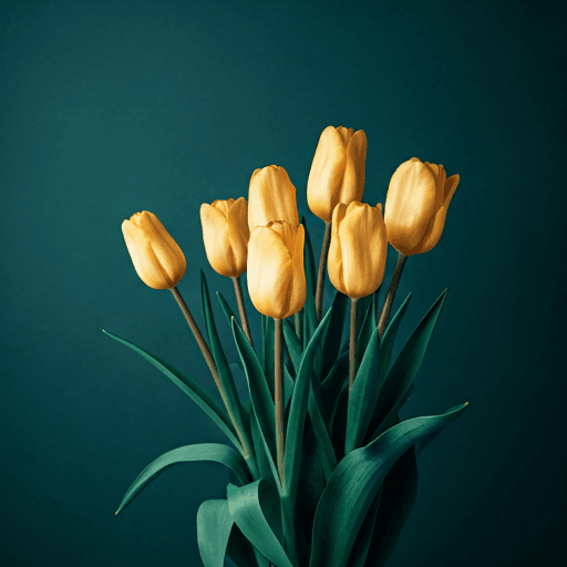 Ecuadorian Tulips