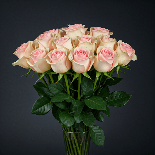 Rose variety